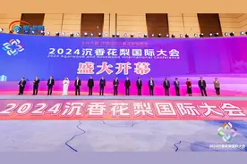 2024沉香花梨国际大会在海口开幕图片