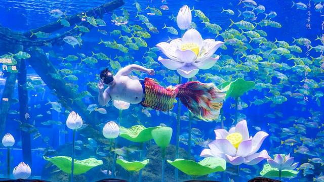 济南融创文旅城五周年，家门口的“文旅地标”如何成长？
