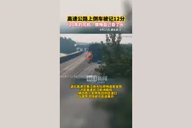在高速公路上倒车被记12分，“20年的司机”懊悔自己昏了头图片