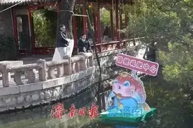 多次“胖”上热搜！济南趵突泉锦鲤需要减肥了图片