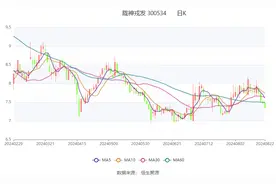 陇神戎发：2024年上半年净利润2145.29万元 拟10派0.2元图片