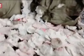 全名单来了！央视315晚会曝光品牌！图片