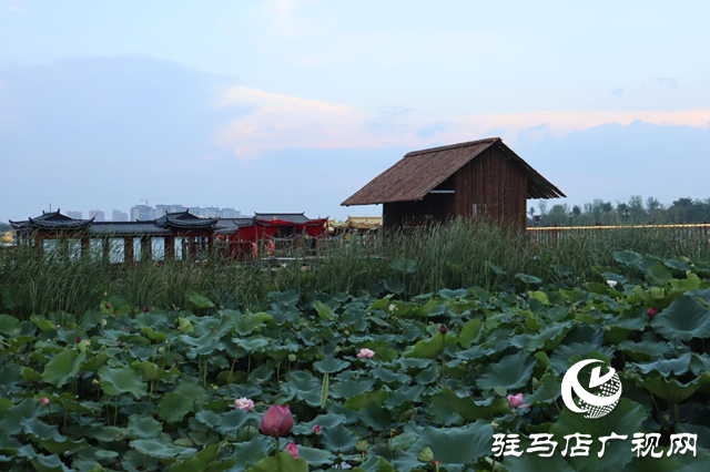印象练江湖熙汐水岸主题乐园：解锁秋日户外惬意时光