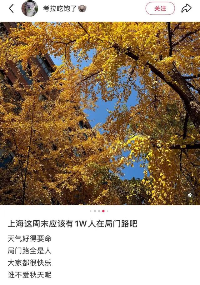 "全上海人都来了吧…"今天这条路什么情况？大堵车！还有30万人抢破头↗