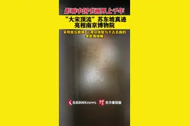 “大宋顶流”苏东坡真迹亮相南京博物院图片