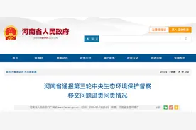 河南通报：对210名党员干部严肃追责问责图片