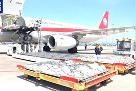 南宁至越南河内国际货运航线开通图片