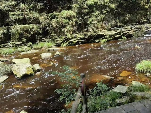 南宁大明山上的河水被污染变成茶色了？假的！
