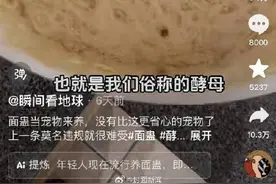 还是太超前了！年轻人开始养宠物酵母图片