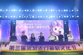 葡萄熟了，日子更甜了！凤泉区张门葡萄文化节邀您共品甜蜜“葡香”图片