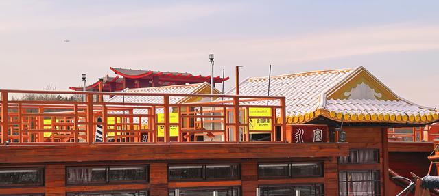 雪后的大运河森林公园，活力满满