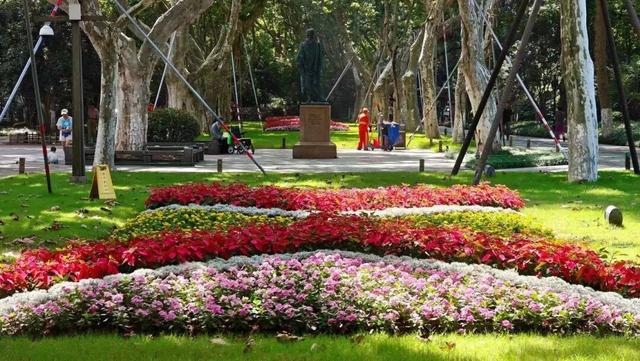 西湖“花漾”盛宴已就位！33处花境等你国庆假期来打卡