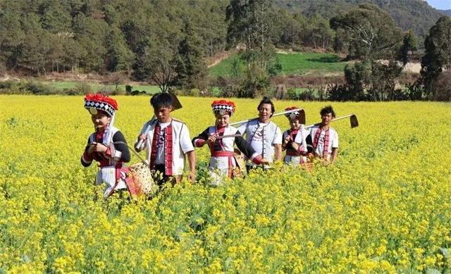 冬暖花开游云南 | 冬游红河，“马”上赏花！