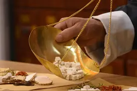 40万用户在天猫“抓方” 侧柏叶、无患子等中药洗头方走红图片