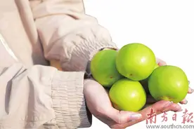 红土与蓝海勾勒雷州风物志图片