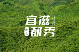 东湖评论：宜滋都秀，美誉九州图片