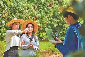 汕尾以“1+4+N”产业布局做靓本土特产品牌图片