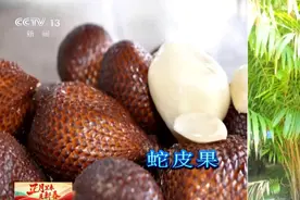 蛇皮果、蛇瓜、蛇舌兰……哪些植物可以给蛇年“代言”？图片