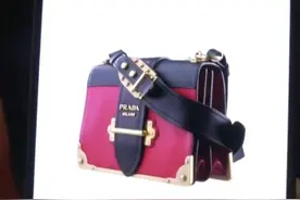 杭州13岁儿子贱卖掉妈妈两个名牌包，能追回吗？律师解读图片