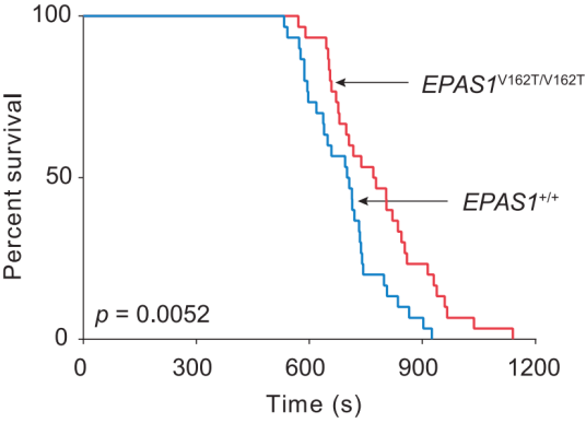 科研人员发现响应低氧的代谢调控新机制 | 科技前线