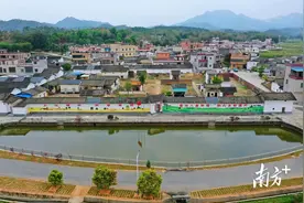 “兵支书”郑松滔：退伍不褪色，勇当乡村振兴“排头兵”｜人才强基•佛冈优秀基层人才故事汇 20图片