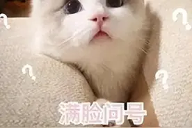 河南将开通医保钱包，可共济至全国图片