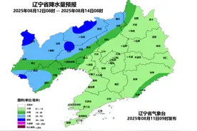 中雨、大雨、暴雨、10级大风要来了！明后天强对流袭辽！沈阳人明天请注意→图片