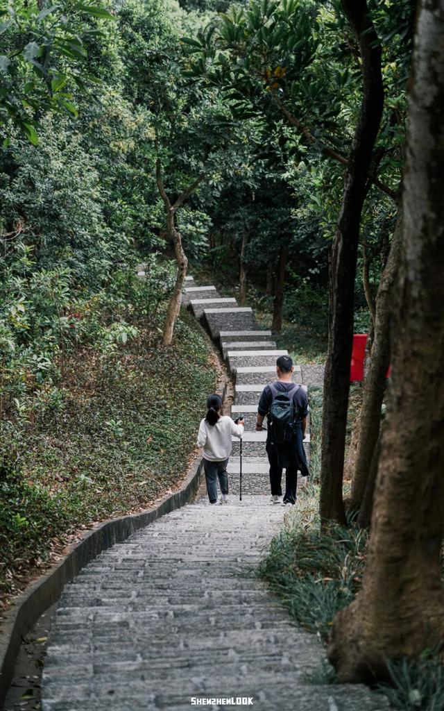 “看牛看海看夜景，深圳骑行路线精选”