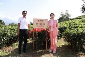 “超级茶园”首站落地临沧，香飘飘健康化升级下的新思考图片