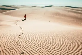 对“四大名著”如何评价？《文化苦旅》为何用特别文体？余秋雨撰文揭秘图片