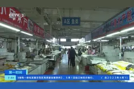 山东青岛新鲜鲅鱼上市，价格约上浮15%图片