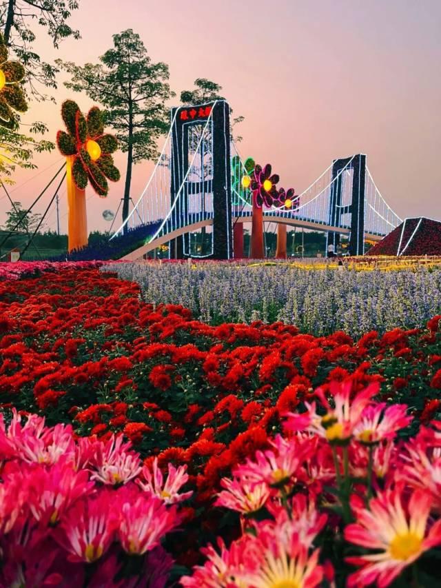 文化中国行·小雪 | 岭南微寒启冬韵，赛场驰骋展锋芒