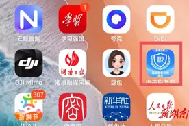 如何开具数电发票？手把手教你图片