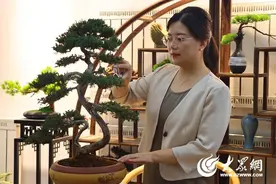 【师者如光 点亮教育强国梦】临沂科技职业学院杨美玲：匠心育人 指导学生屡获国家级、省级奖项图片