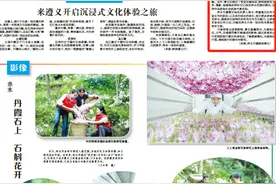 【市州党报关注】赤水丹霞景区推出音乐节票根免门票优惠活动图片