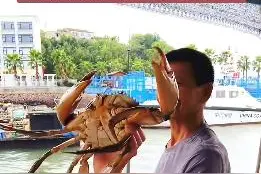 东海渔民捕到4斤重的“青蟹王”，专家：4年前发现过同款已做标本图片