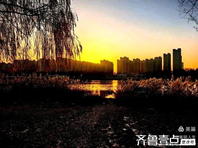 她的背影，是我一生的港湾