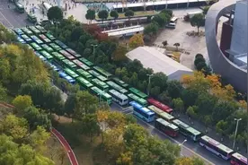 连续4天，这些人可免费乘坐！图片