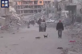 部分加沙民众返家，家园已是满目疮痍图片