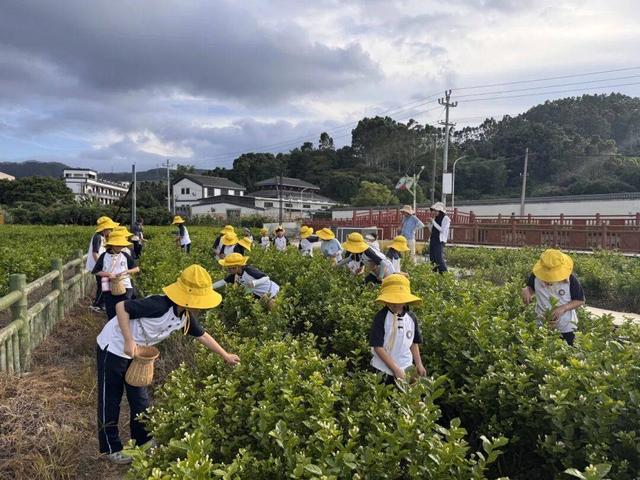 福州长乐古龙窑将修复