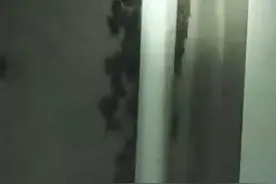 蝙蝠“安家”居民小区，住户苦不堪言 “强光灯、高音喇叭，都赶不走”丨云求助图片