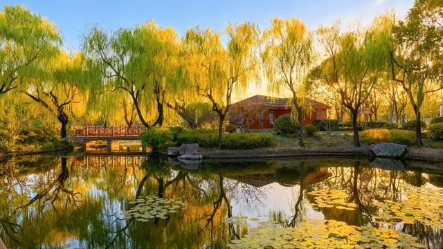 周末好天气，来闵行这些公园遇见最美秋色！