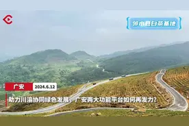 助力川渝协同绿色发展，广安两大功能平台如何再发力？图片