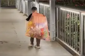 小孩背上塑料袋在广州拾荒，当地：近期随父母来粤，已临时安排学校供其就读图片