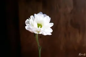 知名猎头公司创始人突发疾病离世，终年62岁！离世当天还在拜访客户图片