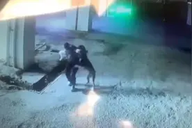 奶奶抱1岁男童被恶犬撕咬，家属：老人或终身残疾，当地警方回应图片