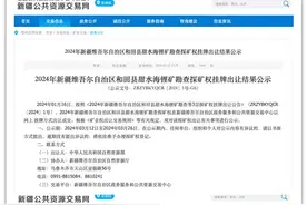 新疆3宗锂矿探矿权花落民营企业图片