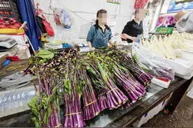 秋天第一批红菜薹抢在黄金周上市 武汉人“打着赤膊吃腊肉炒菜薹”图片