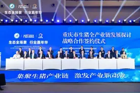 重庆綦江集中签约7个项目加快发展生猪全产业链图片