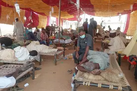 苏丹中部城市暴发登革热疫情 已致253人死亡图片